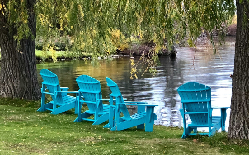 Blue chairs at waters edge with willow branches hanging over
